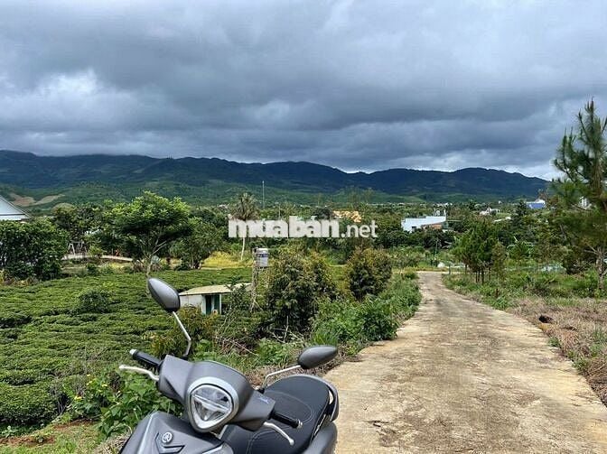 Đất Bảo Lộc - 2214m2 (20x100m) Sẵn 118m thổ cư - view núi Sà Pung