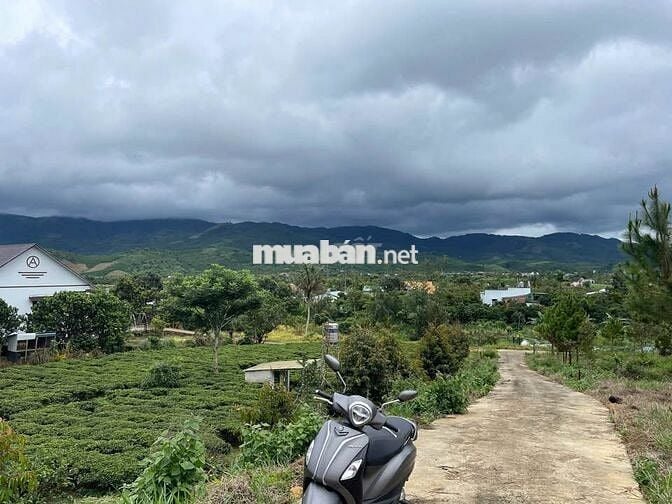 Đất Bảo Lộc - 2214m2 (20x100m) Sẵn 118m thổ cư - view núi Sà Pung