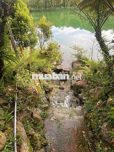 SỐC CHỈ 7 TRIỆU/M2 SỞ HỮU ĐẤT VIEW ĐỒI-HỒ-RỪNG THÔNG–NGHỈ DƯỠNGBẢO LỘC