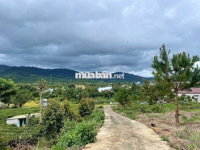 Đất Bảo Lộc - 2214m2 (20x100m) Sẵn 118m thổ cư - view núi Sà Pung