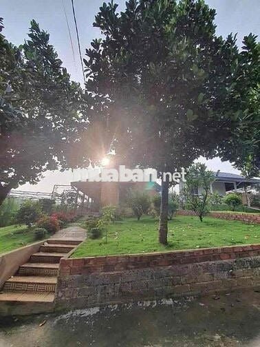 Bán gấp  Nhà vườn 200m² đẹp như resort, P.2 Bảo Lộc giá 490triệu