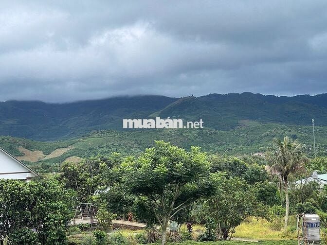 Đất Bảo Lộc - 2214m2 (20x100m) Sẵn 118m thổ cư - view núi Sà Pung