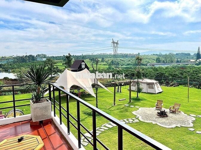 SỐC CHỈ 7 TRIỆU/M2 SỞ HỮU ĐẤT VIEW ĐỒI-HỒ-RỪNG THÔNG–NGHỈ DƯỠNGBẢO LỘC