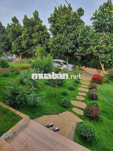 Bán gấp  Nhà vườn 200m² đẹp như resort, P.2 Bảo Lộc giá 490triệu