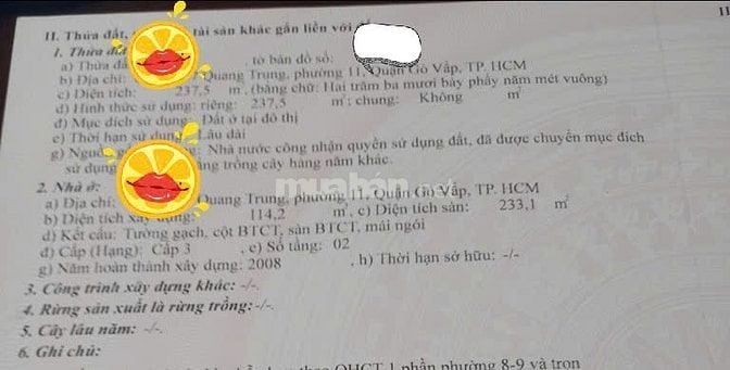 Bán biệt thự 238m2 Quang Trung, P.11, Gò Vấp