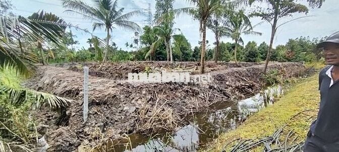 Cần bán gấp 1.724 m2 Đất xã Trường Long, Cần Thơ