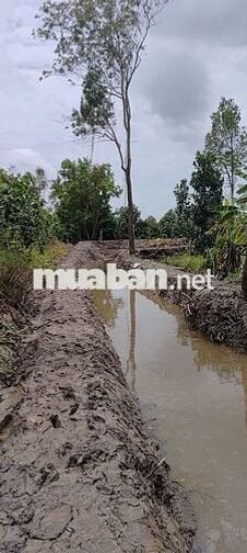 Cần bán gấp 1.724 m2 Đất xã Trường Long, Cần Thơ