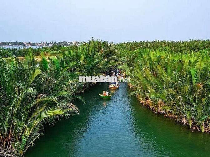 Nhà đất trong khu du lịch rừng dừa Hội An