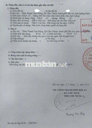 Nhà đất trong khu du lịch rừng dừa Hội An