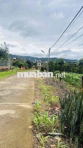 ĐẤT NAM BAN - LÂM HÀ - LÂM ĐỒNG