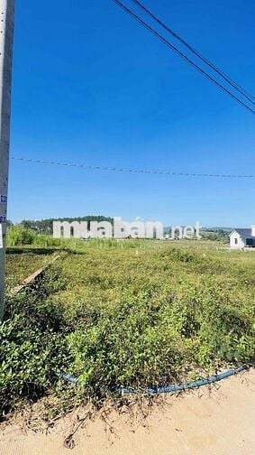 ĐẤT GIA LÂM , LÂM HÀ , LÂM ĐỒNG GIÁ CHỈ 750tr KHU VILLA ,HOMESTAY