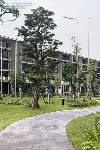 Biệt thự liền kề ven biển Hạ Long DT 120m2, MT 6m giá đang rất rẻ chỉ