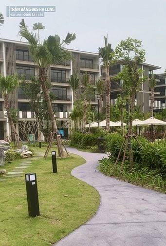 Biệt thự liền kề ven biển Hạ Long DT 120m2, MT 6m giá đang rất rẻ chỉ