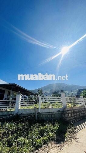 ĐẤT GIA LÂM , LÂM HÀ , LÂM ĐỒNG GIÁ CHỈ 750tr KHU VILLA ,HOMESTAY