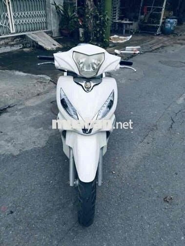 SYM Shark màu Trắng