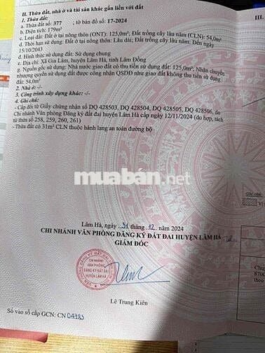 ĐẤT GIA LÂM , LÂM HÀ , LÂM ĐỒNG GIÁ CHỈ 750tr KHU VILLA ,HOMESTAY