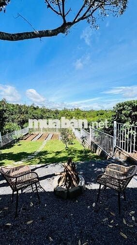 Nhà vườn Lộc An Bảo Lâm DT 435,3m2 (10mx43m) sẵn 80m thổ cư đường lớn