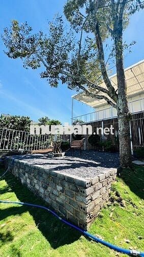 Nhà vườn Lộc An Bảo Lâm DT 435,3m2 (10mx43m) sẵn 80m thổ cư đường lớn