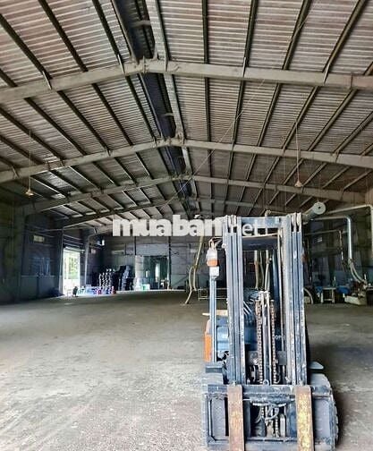 Xưởng chuyên sản xuất gỗ, đất 1ha, xưởng 2000m, giá 75 triệu