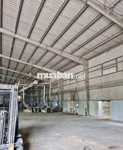 Xưởng chuyên sản xuất gỗ, đất 1ha, xưởng 2000m, giá 75 triệu