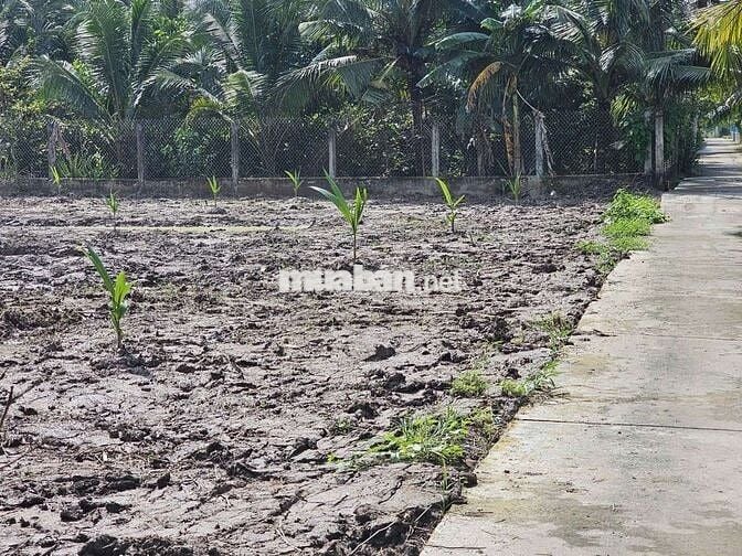 ĐẤT NGHỈ DƯỠNG PHƯỜNG PHÚ TÂN BẾN TRE