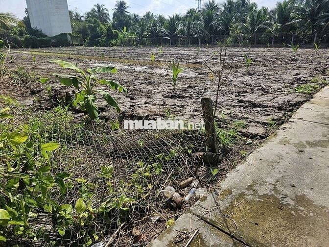 ĐẤT NGHỈ DƯỠNG PHƯỜNG PHÚ TÂN BẾN TRE