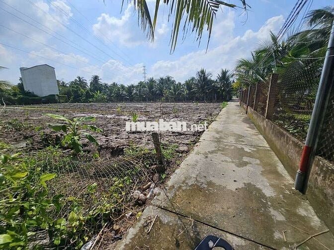 ĐẤT NGHỈ DƯỠNG PHƯỜNG PHÚ TÂN BẾN TRE