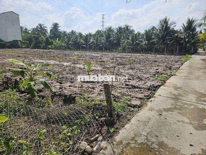 ĐẤT NGHỈ DƯỠNG PHƯỜNG PHÚ TÂN BẾN TRE