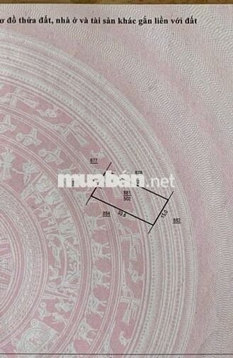 Bán đất 2 Lô C7, C8, hẻm nhựa Lê Thị Riêng, Lộc Châu P3 Bảo Lộc .