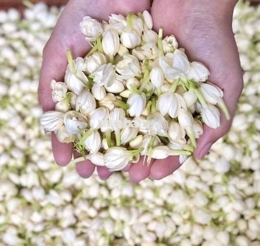 Nhà cho thuê cư xá ngân hàng 4x23m 2 lầu