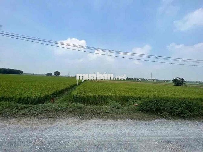 NH Thanh Lý đất tại Hoà Thuận, Hiệp Hoà, Đức Hòa, Long An. giá 1.045