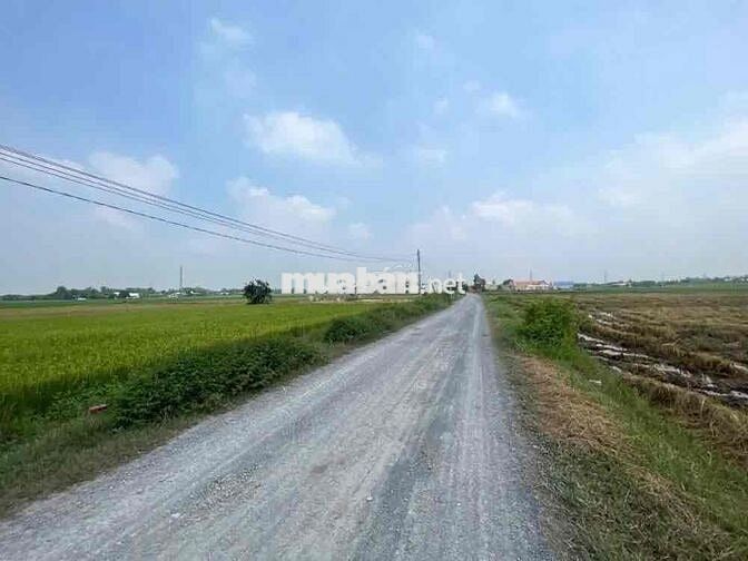 NH Thanh Lý đất tại Hoà Thuận, Hiệp Hoà, Đức Hòa, Long An. giá 1.045