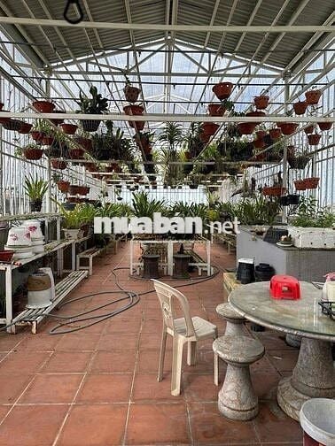 Cho thuê nhà 3 tầng đường 7m5 HOÀ THỌ ĐÔNG- FULL NỘI THẤT XỊN 3pn, 3wc