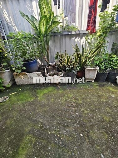 CẦN CHO THUÊ GẤP CĂN NHÀ CẤP 4 GẦN NGAY TRƯỜNG MẦM NON CÚC HỌA MI.