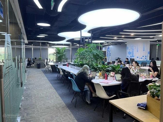 Siêu hot! Cho thuê 113m², 198m² VP hạng A - IPH Xuân Thủy, vào ngay