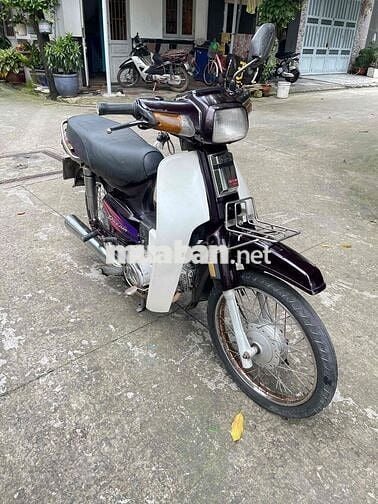 Honda Dream Tím trắng