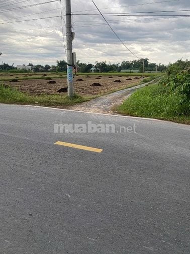 ĐẤT BÁN CHÍNH CHỦ ĐỨC HÒA CHỈ 620TR CÓ SỔ RIÊNG ĐƯỜNG THÔNG 