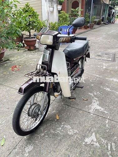 Honda Dream II Nâu trắng Đã sử dụng