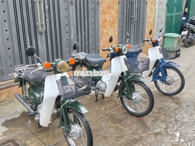 Cup 86/50 cho ai cần