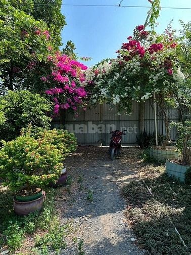 ☎Đất 2000m2 xã Tân Nhựt, Bình Chánh 