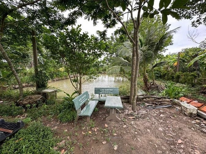 ☎Đất 2000m2 xã Tân Nhựt, Bình Chánh 