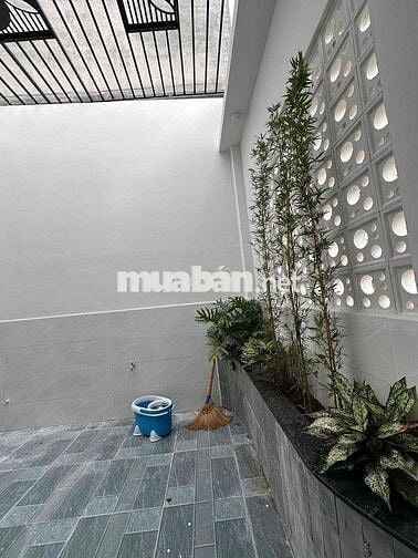 VỀ QUÊ NUÔI CÁ VÀ TRỒNG THÊM RAU