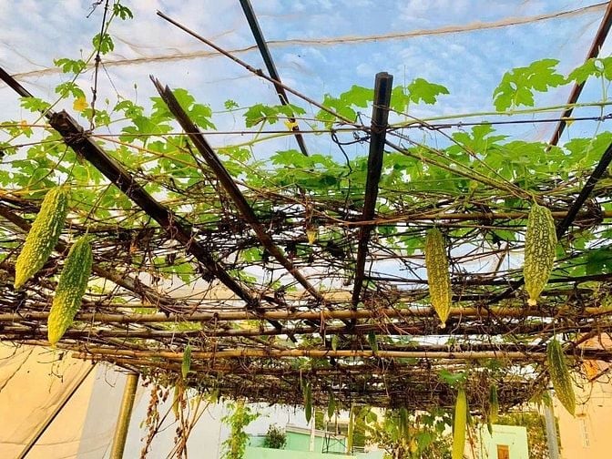 Cho thuê nhà đối diện cổng công viên phần mềm Quang Trung , Q12