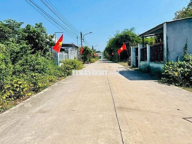 Đất xây nhà trọ sát bên trường THPT Tân Hiệp giá 690tr /420m2 sổ sẳn