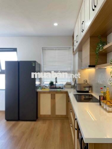 Cho thuê căn hộ chung cư full nội thất  1PN 55m2 Ori Garden Bàu Tràm