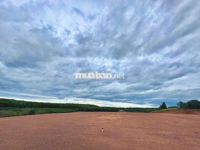 Bán đất đường xuyên tâm 1000m2(25x40) sẵn 500mTC giá 880tr Bình Phước