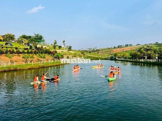 Đất View Hồ Tảo Hồng Trên Đồi Chè Ngay Khu Du Lịch lớn.