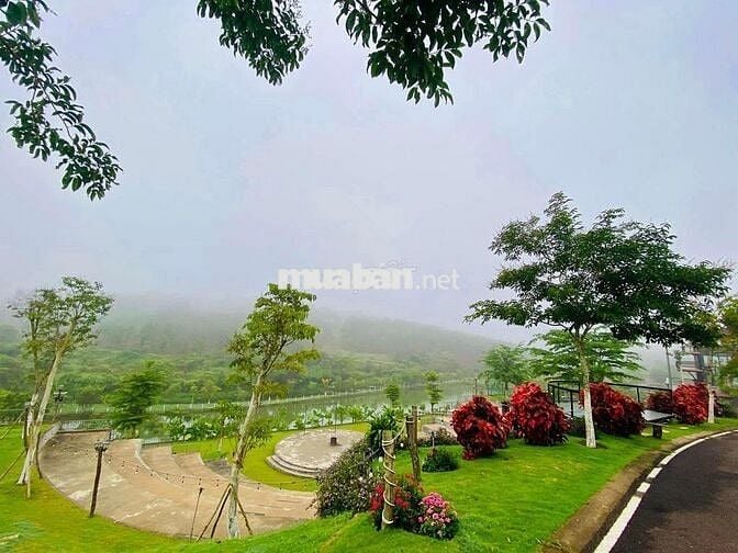 Đất View Hồ Tảo Hồng Trên Đồi Chè Ngay Khu Du Lịch lớn.