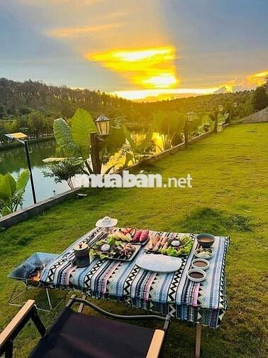 Đất View Hồ Tảo Hồng Trên Đồi Chè Ngay Khu Du Lịch lớn.