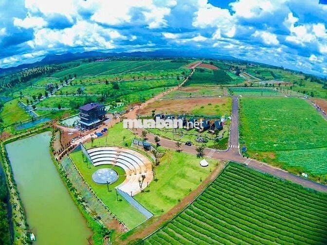 Đất View Hồ Tảo Hồng Trên Đồi Chè Ngay Khu Du Lịch lớn.